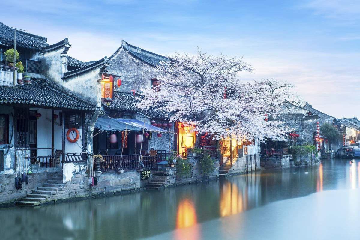 格斗巅峰大作战1.1